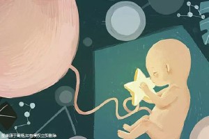 体外受精 IVF-ET